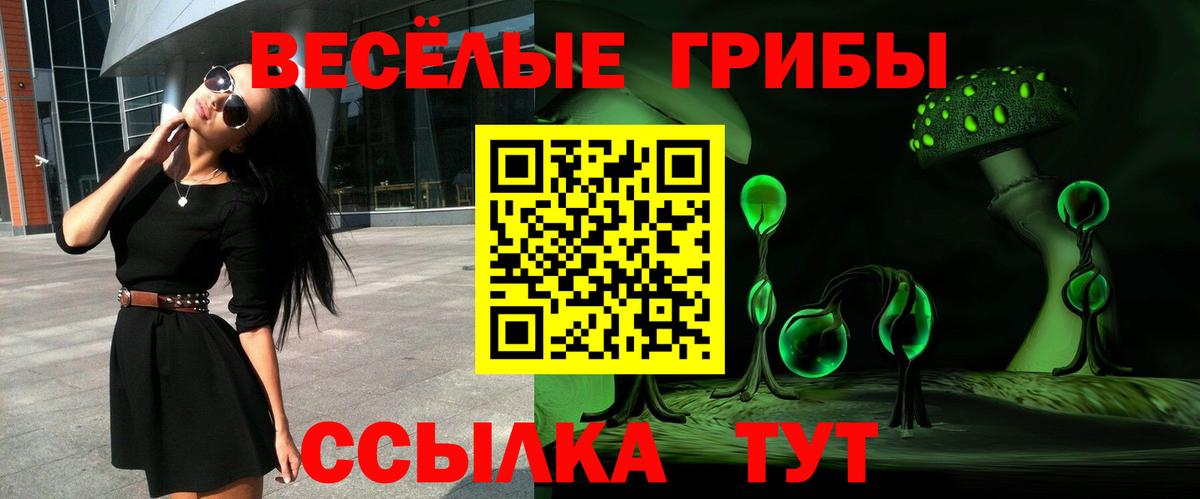 Торжок  Псилоцибиновые грибы прущие грибы  Вход с VPN 